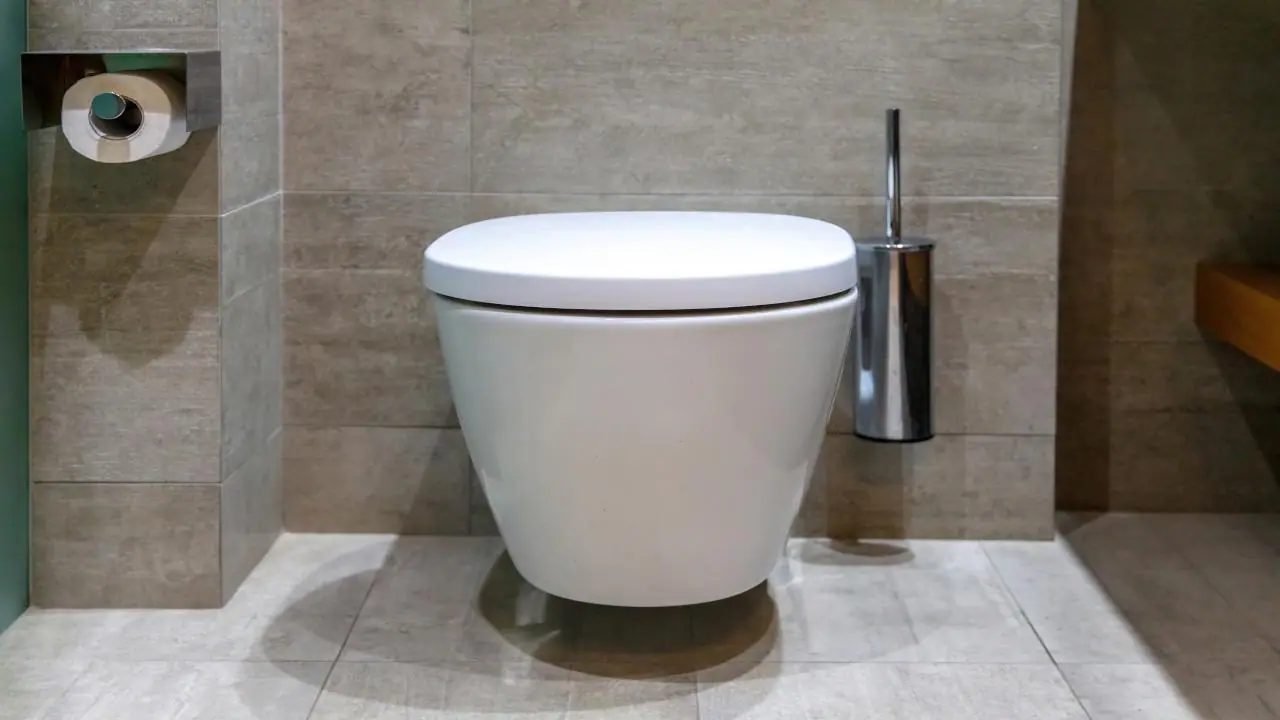What are the Best Toilets for a New Home?