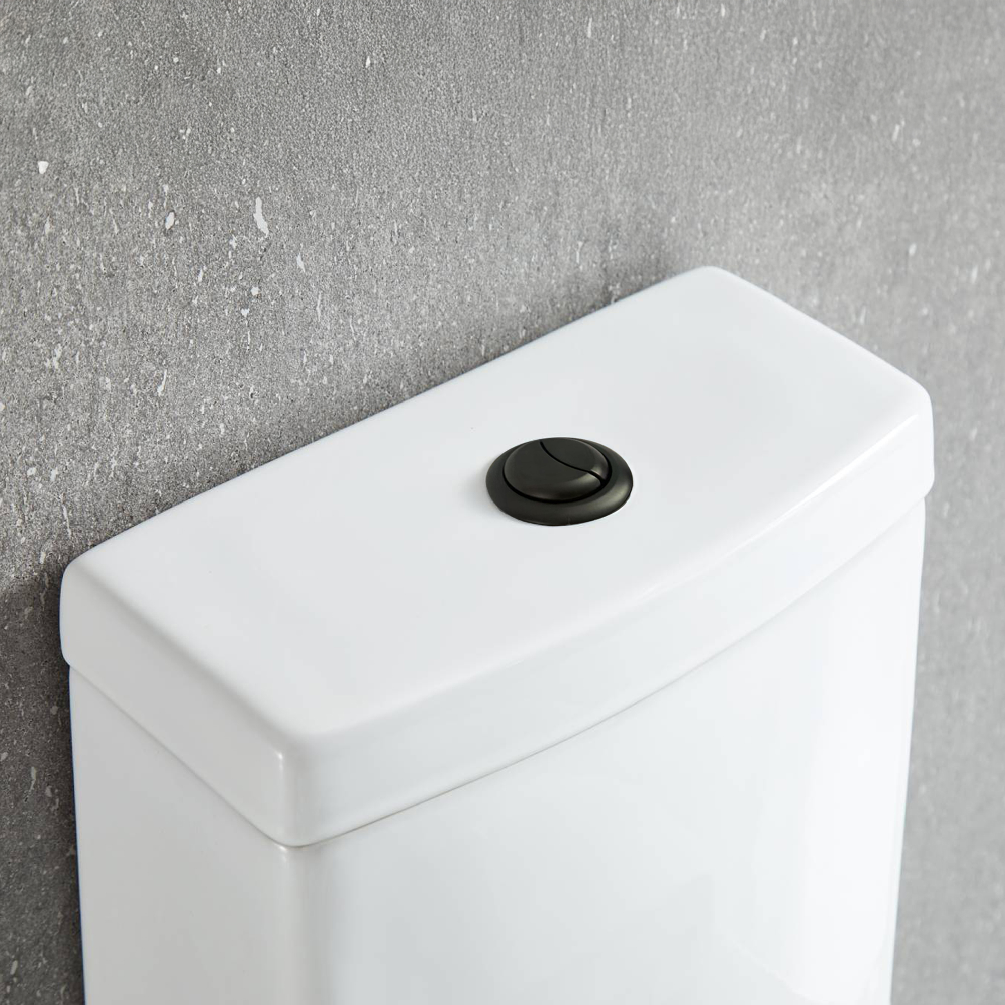 Ottawa Matt Black & Gold 28.63″ One Piece Toilet