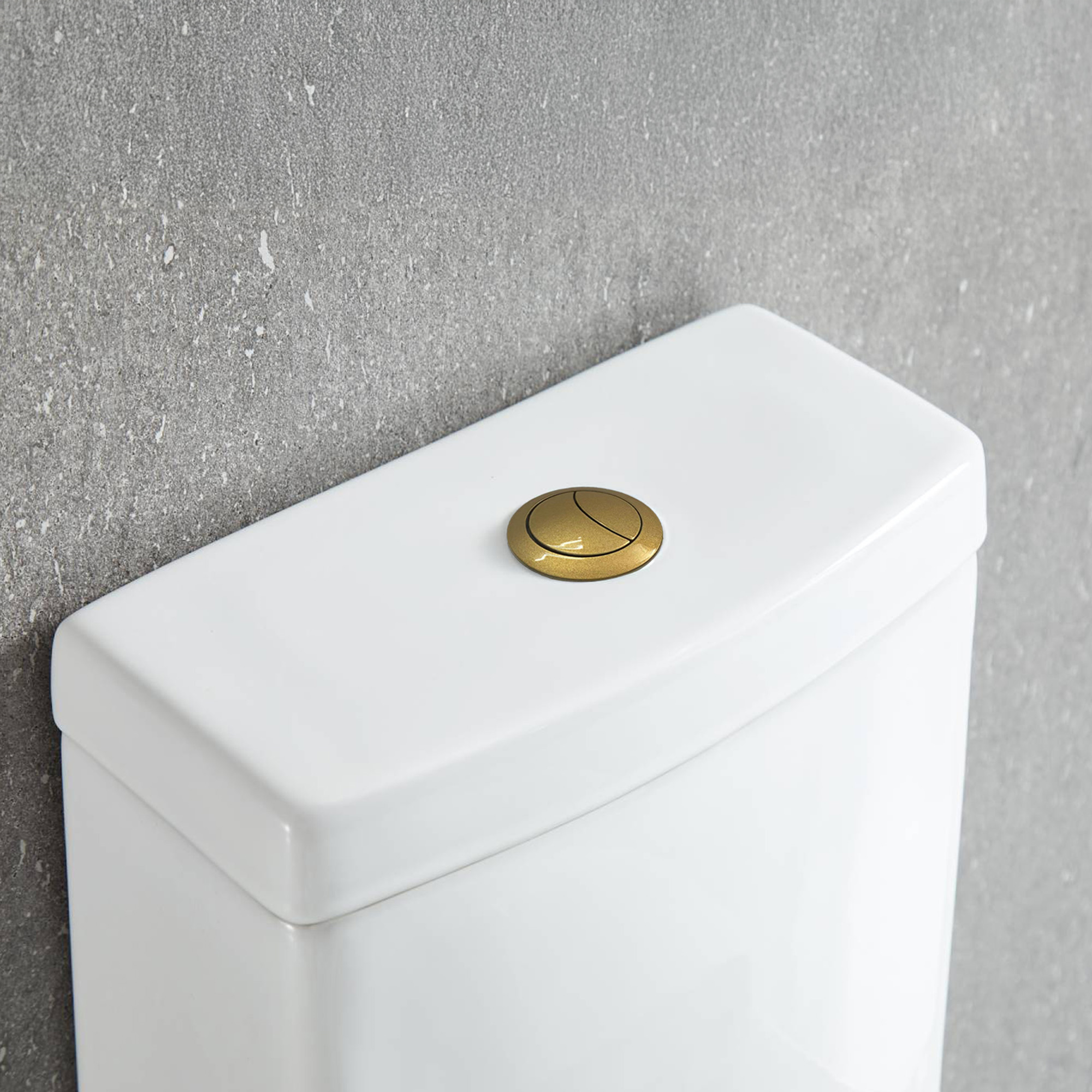 Ottawa Matt Black & Gold 28.63″ One Piece Toilet