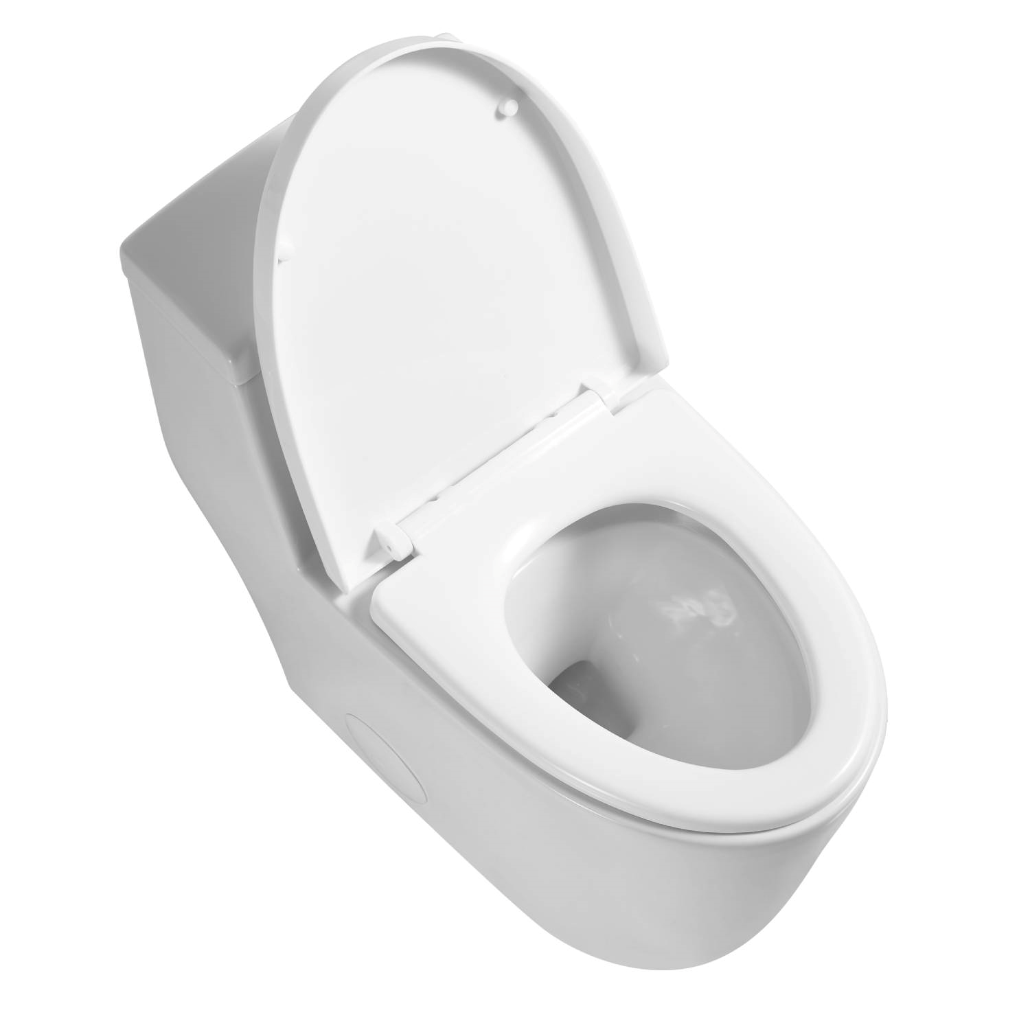 Ottawa Matt Black & Gold 28.63″ One Piece Toilet