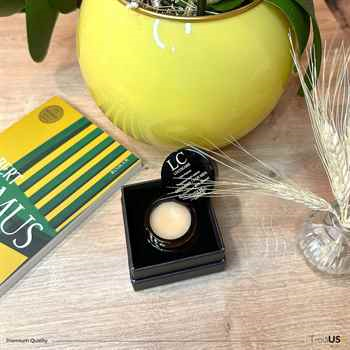 0.5oz  (15g) Solid Cologne for Men - TROIA US Sweet & Spicy Scent, Travel Size Handmade Perfume