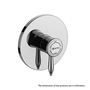 Bosphorus Built-in Shower-Sink Faucet