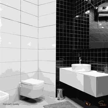 BOX PREMIUM PORCELAIN TILE SUPER WHITE GLOSSY 24"X48"