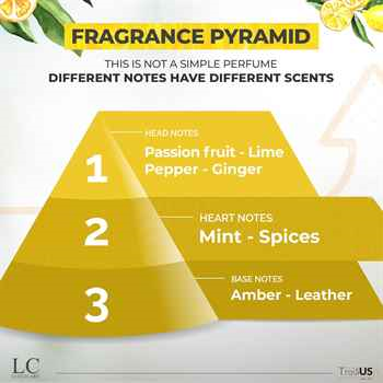 Lime 0.5oz (15g) - TROIA US Solid Cologne for Men, Travel Size, Portable Handmade Men's Fragrance