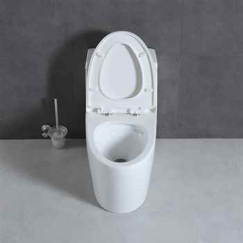 Ottawa Matt Black & Gold 28.63″ One Piece Toilet