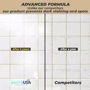 PentaUSA 250 Gr Beige Color Tile Grout Repairs Kit, Fast Drying Grout Repair Kit-8.8oz