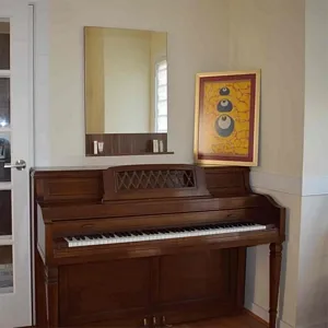 TroiaUS Newark Bathroom Mirror For Wall Walnut Shelves 23.7