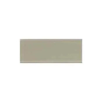 Mag 027 Glass Tile Clear 3"x8"
